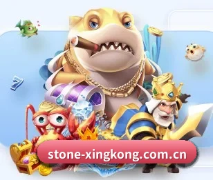 足球篮球电竞赛程一站查看 | xingkong